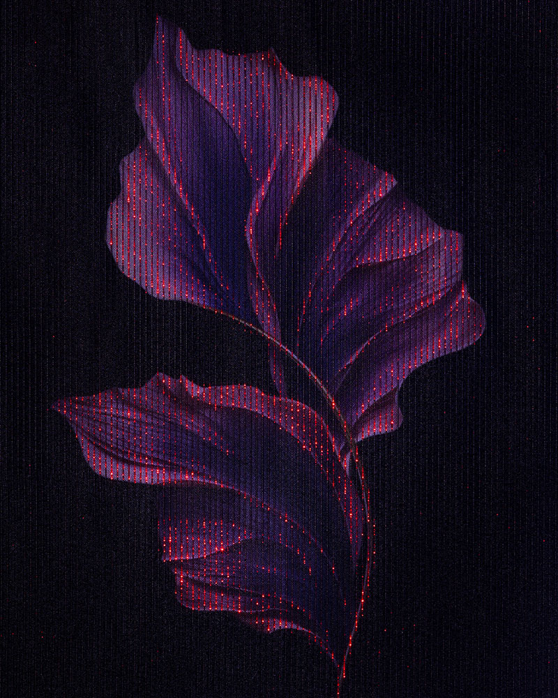 Digital Pattern Leaf Led Nocturne Rouge