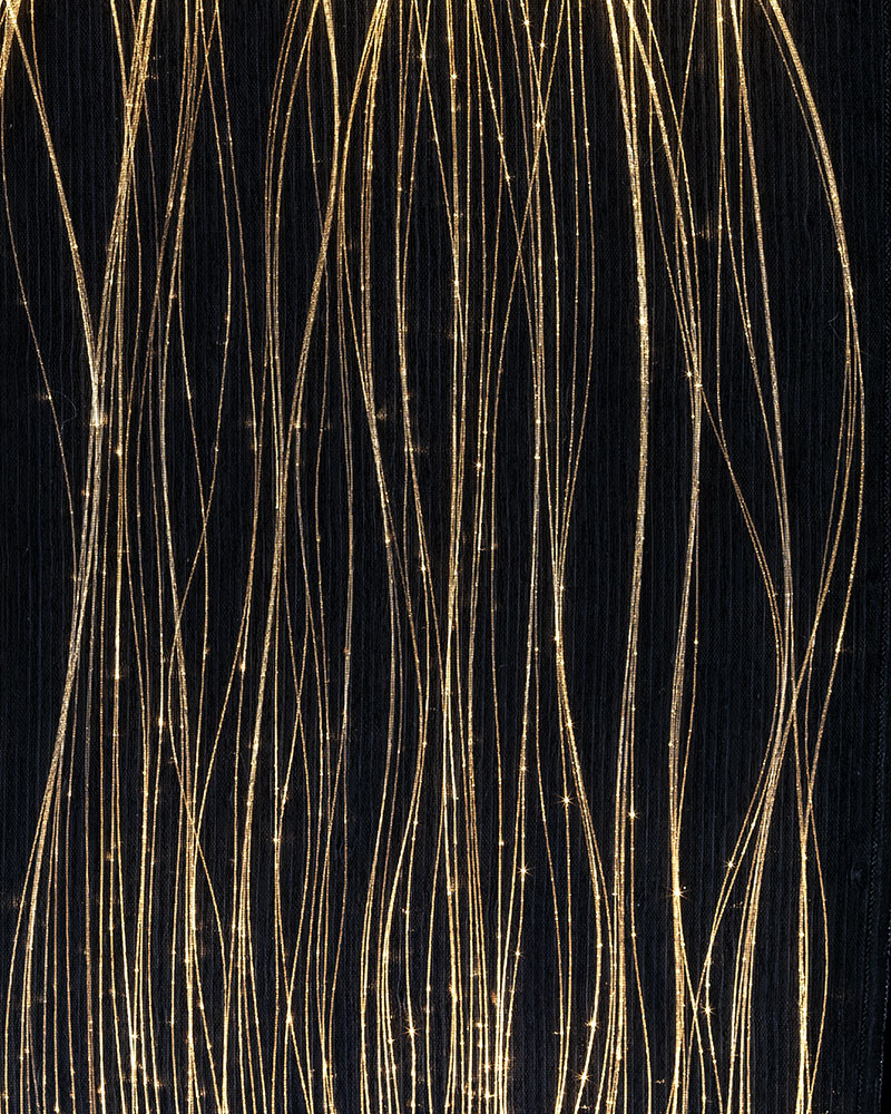 Organza Black Led Champagne