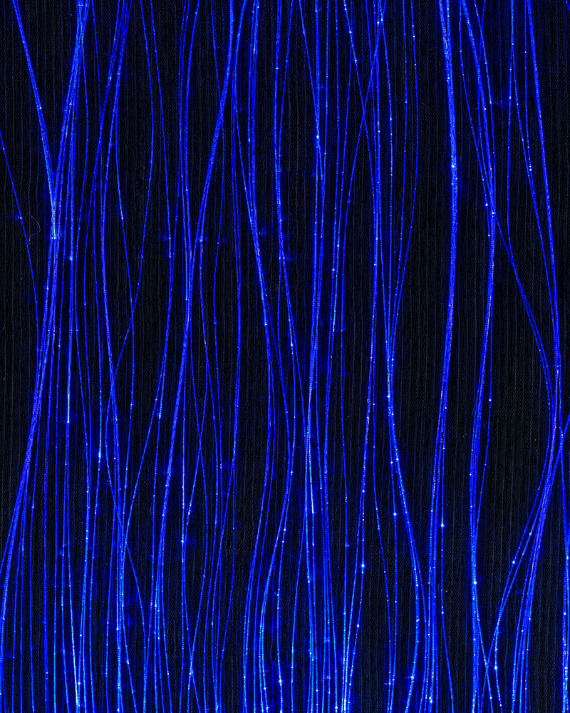 Organza Black Led Royal Blue