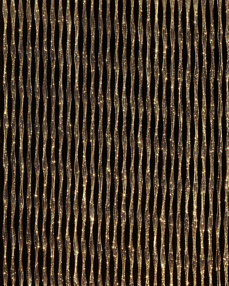 Spider Black Led Champagne