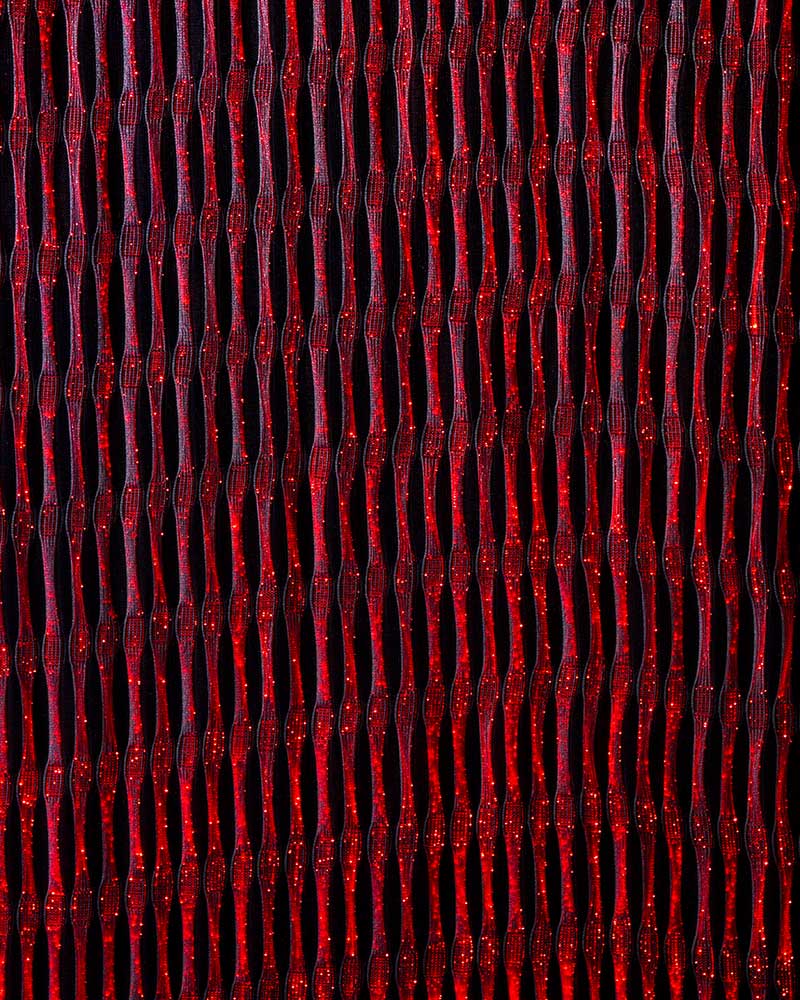 Spider White Led Nocturne Rouge